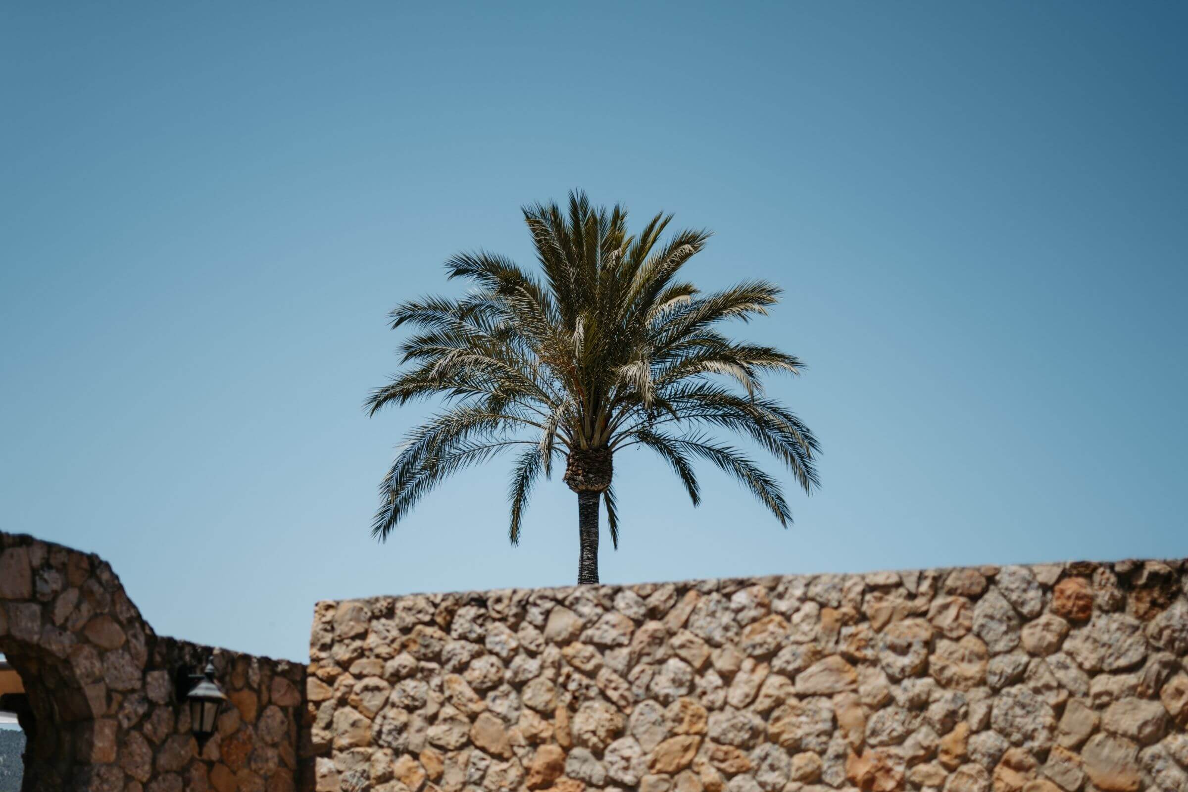 Hochzeitsplanerin sophie huber